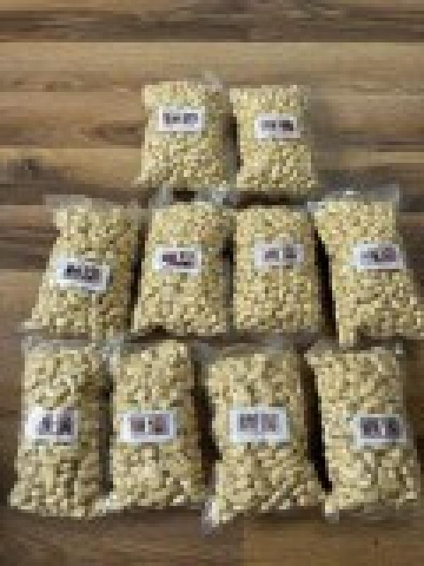  Avocats Cajou Ananas - fruits secs et graines grillées  nous sommes producteurs et vendeurs direct du benin nous avons une quantite importante de noix de cajou ananas avocat et mangue de tres bonnes qualites a prix tres tres competitifs veuillez nous faire un retour si vous etes interesses pour qu ont prendre contact avec vous cordialement 