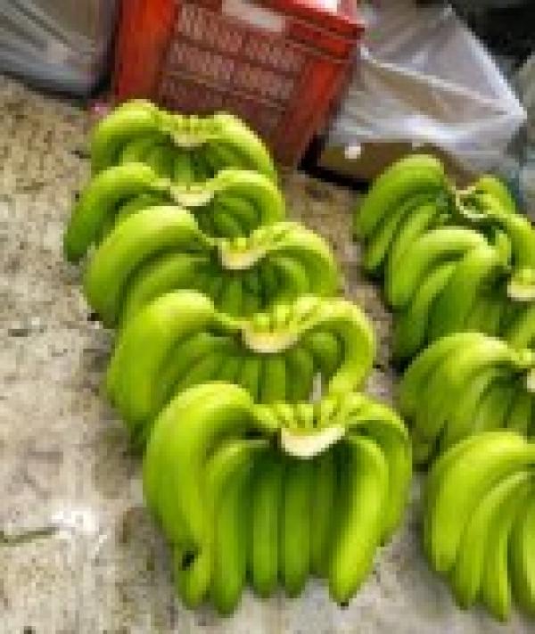  Mangues - fruits et légumes salut madame et monsieur je suis &agrave; la recherche des fruit et l&eacute;gumes de haute qualit&eacute; en gros pour exportations en europe ex cajou d&eacute;cortiquer ananas frais avocats frais mangue frais bananes frais merci de me contacter directement sur whatsapp ou mail pour etes rapide 