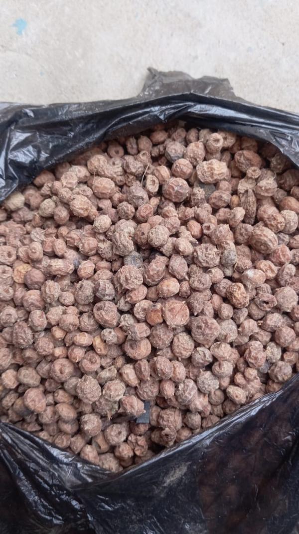  Graine De Souchets Et Bissap - fruits secs et graines grillées  chers tous. nous disposons actuellement d'une quantit&eacute; importante de graines de souchets ou graine de tigr&eacute;e de meilleurs qualit&eacute; et de fleurs d'hibiscus (bissap) depuis le niger. nous recherchons activement des acheteurs de n'importe quel pays.