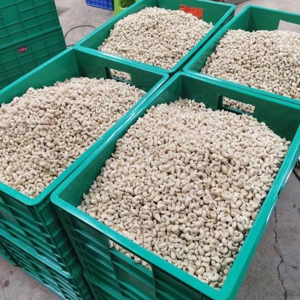  Noix De Cajou De Tanzanie De Qualité Supérieu - fruits secs et graines grillées nous sommes une entreprise d'exportation fiable bas&eacute;e en tanzanie fournissant des noix de cajou brutes et transform&eacute;es de haute qualit&eacute; aux march&eacute;s internationaux. origine tanzanie calibres disponibles ww180 ww240 ww320 ww450 r&eacute;colte saison en