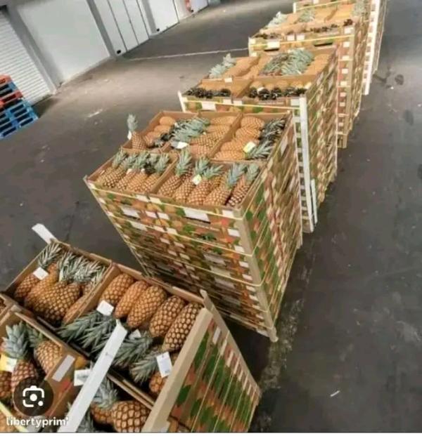  France Sénégal,ect....... - Industrie exploitation j'aimerais avoir des partenaires pour des ananas bio ect..car je fais l'exploitation d'ananas donc je cherche des clients pour vendre 