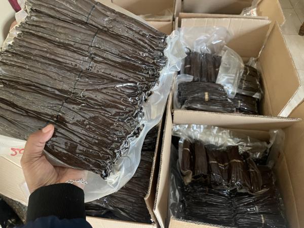  Vanille Bourbon Récolte 2026, Direct Prod. - épices aromates offre sp&eacute;ciale fin de campagne 2025 2026 exportateur agr&eacute;&eacute; &agrave; madagascar. une vanille qui parle avant meme d'etre ouverte gousses charnues souples &agrave; la robe brun noir profonde gorg&eacute;es d'une huile naturelle. r&eacute;colt&eacute;es et pr&eacute;par&e