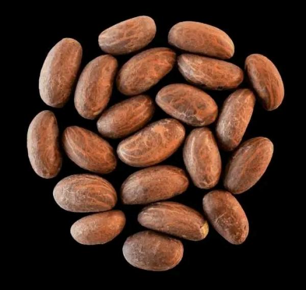  Noix De Petit Cola En Vente - épices aromates nous disposons de 3000 kg de noix de petit cola frais . nous d&eacute;sirons rencontrer un acheteur s&eacute;rieux pour &eacute;couler ces 3 tonnes. le prix est de 2000 f / kg . disponible en d&eacute;tails aussi. commande minimale 5 kg . exp&eacute;dition possible partout. 