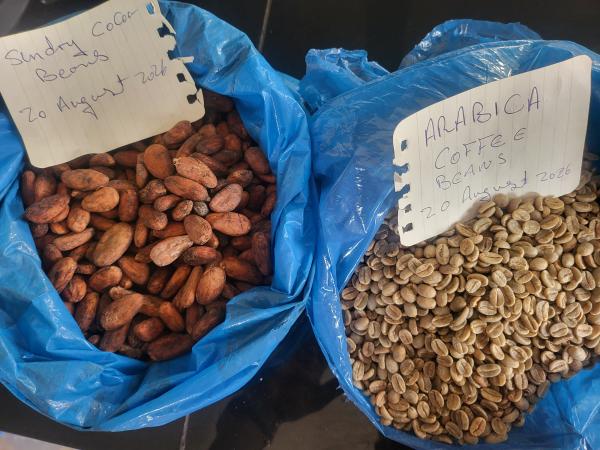  Sun Dried Cocoa Beans - coffee cocoa tea  we are high grade cocoa and coffee beans suppliers with 31 years of experience we can supply you with sundry cocoa beans cocoa shells cocoa powder cocoa nibs cocoa butter robusta coffee arabica coffee our supplies are all well tested and proven and we can supply on long 