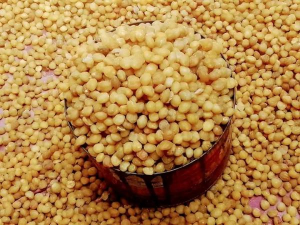  Graines D'akpi - épices aromates nous mettons en vente 4000 kg de graines d'akpi de qualit&eacute; sup&eacute;rieure avec un prix de 2100 fcfa/ kg disponible en gros et d&eacute;tails avec une commande minimale de 5 kg. nous exp&eacute;dition partout. veuillez contacter pour plus d'informations. merci 