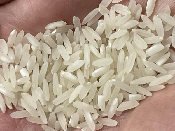  Non Basmati Rice - céréales riz grain long blanc d'origine equateur en sac de 50kg sur palette. toutes taxes payees prix 600  par tonne disponible a rotterdam analyses disponibles.