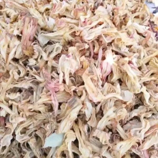  Bissap Blanc - épices aromates nous disposons de une tonne et demi des fleurs de bissap blanc bien s&eacute;ch&eacute;e avec un prix de 1000 fcfa/ kg disponible &agrave; bamako au mali. vous etes revendeurs ou exportateurs des produits naturels africain n'h&eacute;sitez &agrave; nous &eacute;crire pour plus d'informations. 