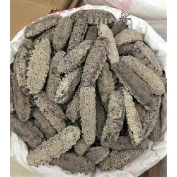  Concombre De Mer Séchée - matiere vegetale nous mettons en vente 250 kg de concombre de mer bien mer pas encore r&eacute;duit en poudre avec un prix de 12500 fcfa/ kg. ce produit est id&eacute;ale pour l'industrie pharmaceutique et autres soins th&eacute;rapeutique. merci