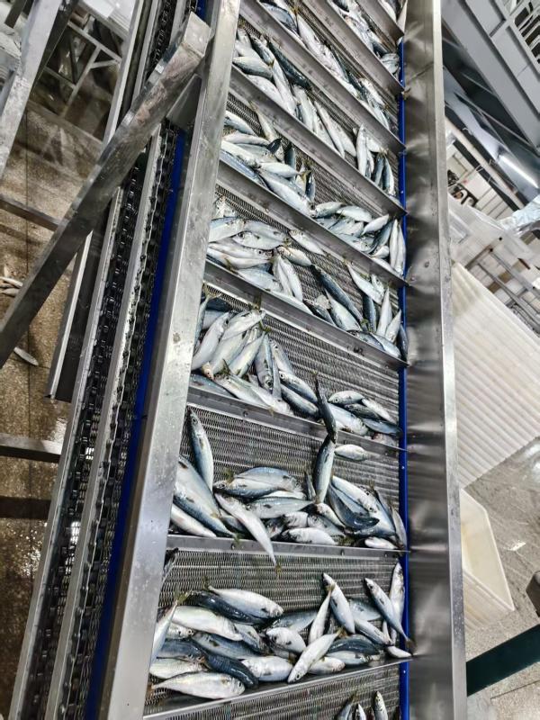  Bqf Pacific Mackerel, Bqf Horse Mackerel, Fro - fish bqf pacific mackerel bqf horse mackerel frozen yellow tail fish all size welcome to inquire about prices.