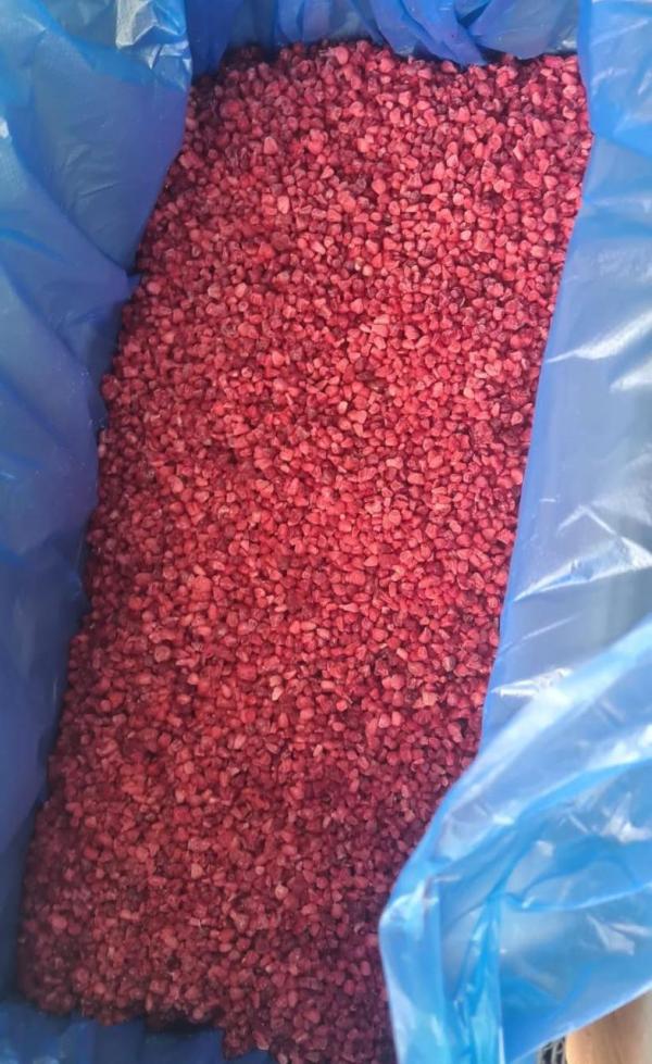  Framboise Crumble Surgelées Du Maroc Vendre - fruits et légumes  nous vous proposons des framboise de la saison 2026/2027 avec une bonne qualit&eacute;s les la disponibilit&eacute;s de triage en laser 