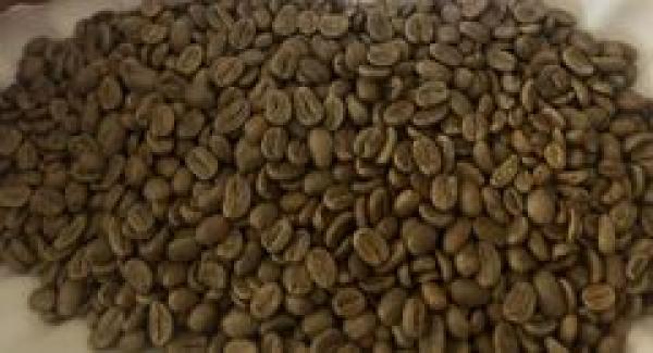  Caffee Robusta &arabica - coffee cocoa tea greetings. we are pleased to provide our quotation details for coffee products as below product name coffee moq 50 mt price arabica 4000 usd /mt robusta 2500 usd / mt packing 50 kg bag trade terms cif payment terms t/t port of loading dar es salam tanzania tz (dar) please feel free to us if you ne