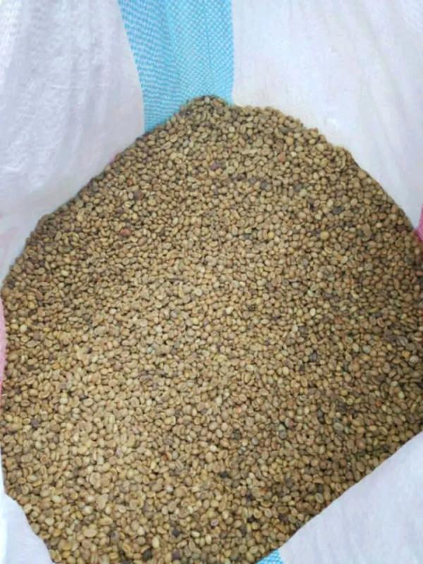 Café, Girofle, Poivre, La Vanille - café cacao thé  producteur et exportateur de girofle 100% origine sava madagascar.   produit boutons de girofle entiers qualit&eacute; premium.  huile essentielle 15% &agrave; 18%  origine antalaha r&eacute;gion sava  calibre tri&eacute; manuellement   capacit&eacute; 