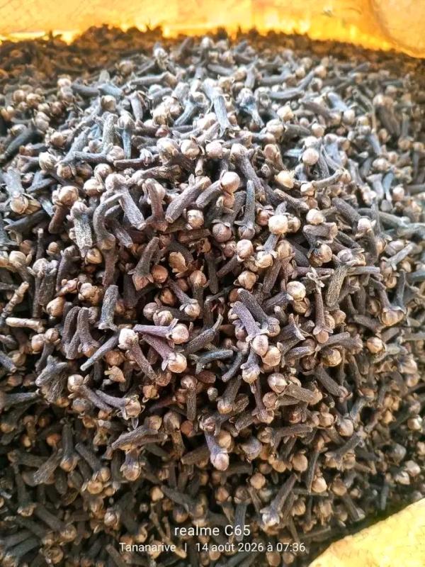  Café, Girofle, Poivre,la Vanille - café cacao thé  producteur et exportateur de girofle 100% origine sava madagascar.   produit boutons de girofle entiers qualit&eacute; premium.  huile essentielle 15% &agrave; 18%  origine antalaha r&eacute;gion sava  calibre tri&eacute; manuellement   capacit&eacute; 