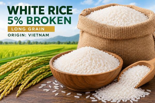  Riz Blanc Long Grain 5% Brisures Origine Vi - céréales france aj alimentaire propose &agrave; l export du riz blanc long grain 5% brisures origine vietnam destin&eacute; aux importateurs grossistes et distributeurs internationaux.   origine vietnam   brisures 5% maximum   humidit&eacute; 14% maximum   conditionnement sacs pp 25 kg / 50 