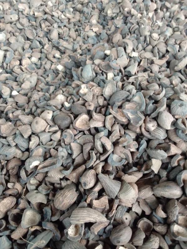  Combustible Coquilles De Palmiste - energie renouvelable je suis fournisseur du combustible coquilles de palmiste en grande quantit&eacute;. produit biomasse combustible coquilles de palmiste origine c&ocirc;te d'ivoire quantit&eacute; 12500 tonnes chaque 3 mois soit 50000 tonnes par ann&eacute;e prix 170  (eur) par tonne incoterm fob port d'abidjan ou