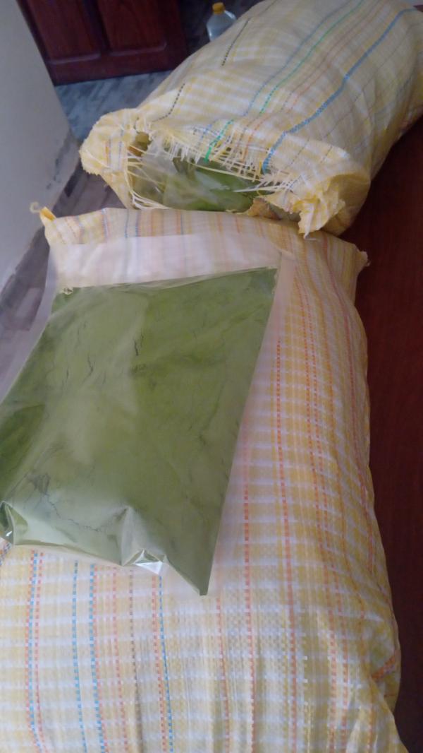  Vente De Moringa - fruits secs et graines grillées nous commercialisons une importante quantit&eacute; de moringa en poudre de qualit&eacute; premium. le moringa est disponible au s&eacute;n&eacute;gal possibilit&eacute; d'exp&eacute;dier en europe. 