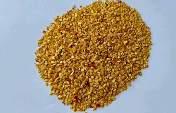  Semence De Piment Teja Variété S15 Et S17 - semence graine plant nous disposons des vari&eacute;t&eacute;s de semence du piment s15 et s17 de provence de l'inde. nous disposons de 300 kg des deux vari&eacute;t&eacute;s respectives avec un prix de 5000 fcfa/ kg . commande minimale 5 kg avec exp&eacute;dition possible partout. 