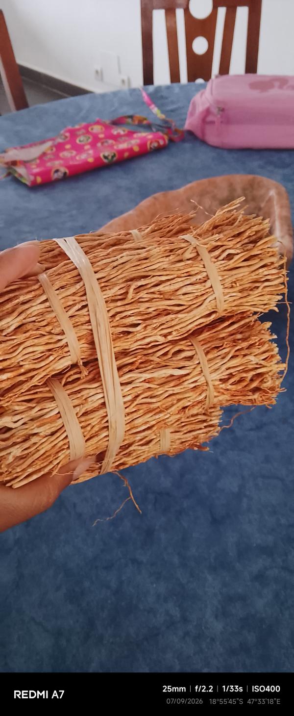 Fagot De Vétiver, Vétiver Bio - semence graine plant des v&eacute;tiver cultiv&eacute;es bio dans notre dans notre r&eacute;gion de bongolava en fagot et aussi de l'huile essentielle. certifi&eacute; bio 