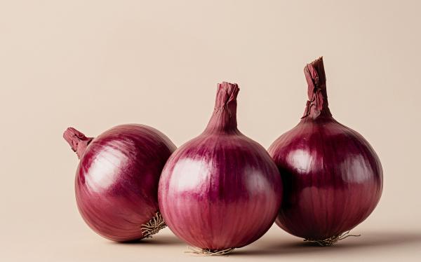 Ognion Rouge Algérien - fruits et légumes oignon rouge alg&eacute;rien   export nous exportons de l'oignon rouge alg&eacute;rien de qualit&eacute; sup&eacute;rieure cultiv&eacute; localement au prix de 0 53 eur/kg. produit frais bien calibr&eacute; et soigneusement conditionn&eacute; pour l'exportation. disponible en quantit&eacute;s 