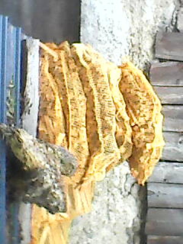  Bois Allumage - bois charbon fibre bois d allumage epicea savoie sec contenance au choix 20 l et 40 litres . r&eacute;activit&eacute; 5 sacs semaines 20 sacs au mois 250 sacs a l'ann&eacute;e .