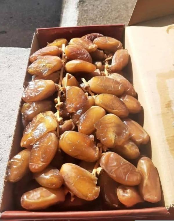  Dattes Algériennes Deglet Nour - fruits secs et graines grillées  je suis producteur de dattes en alg&eacute;rie (vari&eacute;t&eacute; deglet nour) et je suis &agrave; la recherche de partenaires d'importation en france et en europe pour d&eacute;velopper une collaboration commerciale durable. je dispose d'une production de qualit&eacute; avec les cert