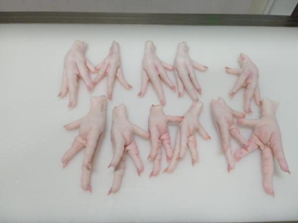  Poulet, Poule, Dinde, Porc.... - viandes et oeufs en tant qu'exportateur polonais de premier plan nous garantisons des volumes stables et des prix comp&eacute;titifs pour de la volaille du porc et des coproduits de haute qualit&eacute;. notre gamme destin&eacute;e &agrave; l'exportation comprend poulet entier decoupe de dinde decoupe de por