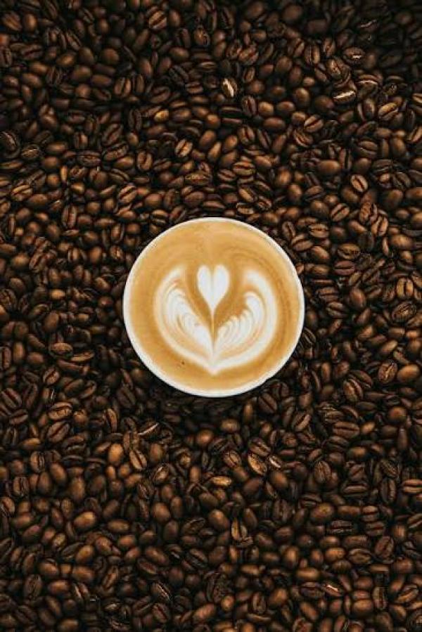  Vente De Café Vert, Torréfié Et Moulu - café cacao thé nous proposons caf&eacute; vert   robusta et arabica origine (c&ocirc;te d'ivoire) grade export ; caf&eacute; torr&eacute;fi&eacute; en grains torr&eacute;faction ma&icirc;tris&eacute;e (temp&eacute;rature et temps de repos contr&ocirc;l&eacute;s) ; caf&eacute; moulu sous forme classique