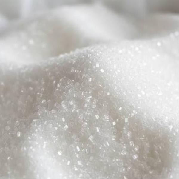  Sucre Blanc 20 000 Tonnes Sénégal A.o - produits sucrés sucre blanc cristallis&eacute; disponible au s&eacute;n&eacute;gal et en afrique de l ouest. nous sommes bas&eacute; au s&eacute;n&eacute;gal et proposons du sucre blanc cristallis&eacute; destin&eacute; aux grossistes distributeurs industriels agroalimentaires et acteurs de la grande distributio
