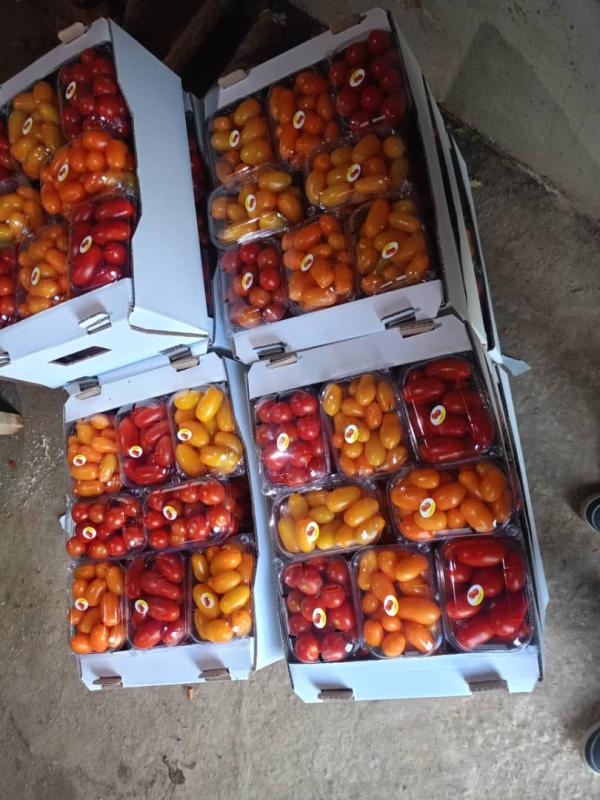  Tomates Cerises - fruits et légumes nous avons les meilleures tomates cerises de toutes les couleurs et de toutes les formes. n'h&eacute;sitez pas &agrave; nous appeler &agrave; tout moment. nous sommes &agrave; votre service.