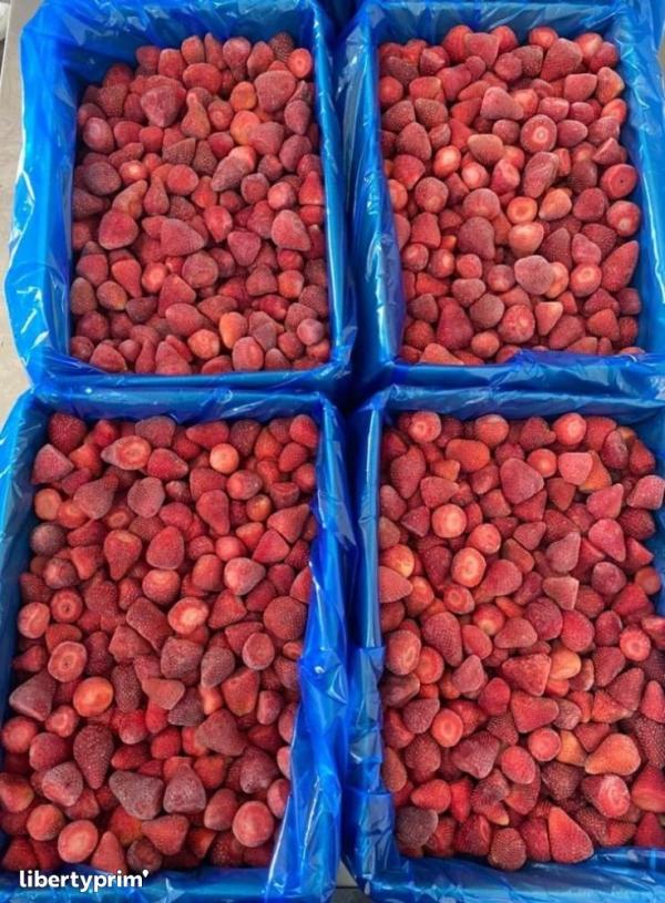  Fraise, Surgelés, Avocat, Framboise, Myrthile - fruits et légumes  nous mettons en vente un stock disponible de 120 tonnes de fraises surgel&eacute;es de qualit&eacute; sup&eacute;rieure (iqf surg&eacute;lation rapide individuelle).ce lot issu de la r&eacute;gion du loukkos au maroc est parfaitement adapt&eacute; pour les industriels de l'agroalimentair