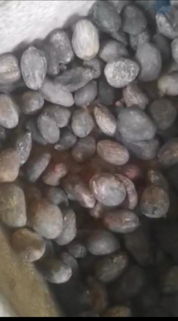  Amandes De Karité - matiere vegetale nous sommes des grossistes dans les produits tropicaux. maintenant nous avons en grande quantit&eacute; les amandes de karit&eacute; et les noix de karit&eacute;. nous cherchons des acheteurs d&eacute;sireux d'acheter.