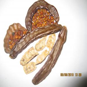  Carobs, Derivates - aliments pour animaux caroubes,  derivates,  carob grains,  pulpe de caroubes,   sirope,  germ de caroubes,  et derives de autres produits  pour la alimentation animale.