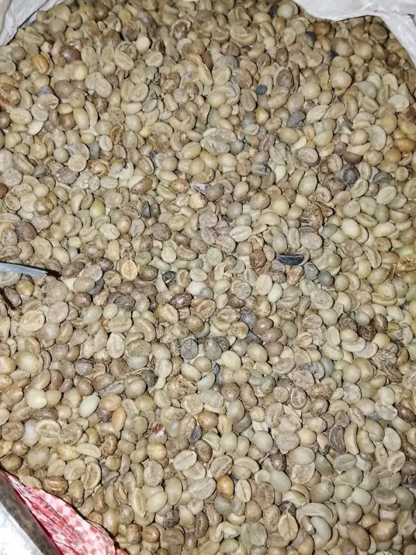  Café - café cacao thé fournisseur de caf&eacute; vert d&eacute;cortiqu&eacute; de qualit&eacute; sup&eacute;rieure   exportation internationale nom de l'entreprise capitalism contact / whatsapp +237 683 33 17 86 origine cameroun produit caf&eacute; vert d&eacute;cortiqu&eacute; (robusta & arabica) capacit&ea