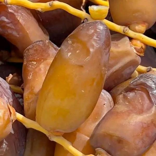  Deglet Nour Tunisie Kebili Extra - fruits et légumes aucune restriction export possible vers europe afrique dubai monde entier date limite r&eacute;colte 2025/2026 fra&icirc;cheur 12 mois