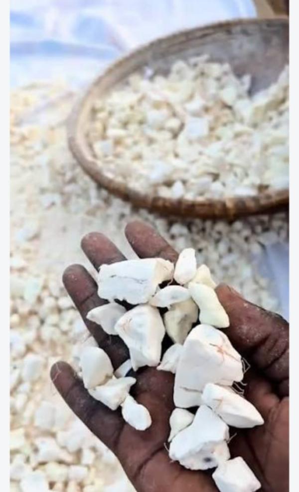 Baobab Du Bénin Poudre De Fruit Et Huile - publicité-nouveaux produits  &agrave; tous nous vous proposons &agrave; la vente des produits de baobab naturels issus d afrique de l ouest destin&eacute;s aux importateurs grossistes distributeurs et transformateurs en europe et &agrave; l international. 1. poudre de pulpe de fruit de baobab produit naturel iss