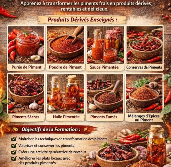  Créez Votre Usine De Transformation Du Piment - conseil et formation montez votre business de transformation du piment ! cette formation pratique vous permet de transformer une mati&egrave;re premi&egrave;re locale en business rentable   meme si vous partez de z&eacute;ro. pendant que vous h&eacute;sitez d'autres transforment d&eacute;j&agrave; le piment en opport