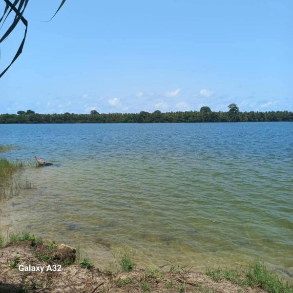  Vente De Parcelles Agricole - mine terrain concession nous mettons en vente des parcelles agricole dans la p&eacute;riph&eacute;rie d'abidjan et &agrave; l'int&eacute;rieur du pays. nos parcelles sont tr&egrave;s bien situ&eacute;es avec des cours d'eaux et tr&egrave;s accessible. id&eacute;al pour toutes activit&eacute;s agricoles ou industrielle 