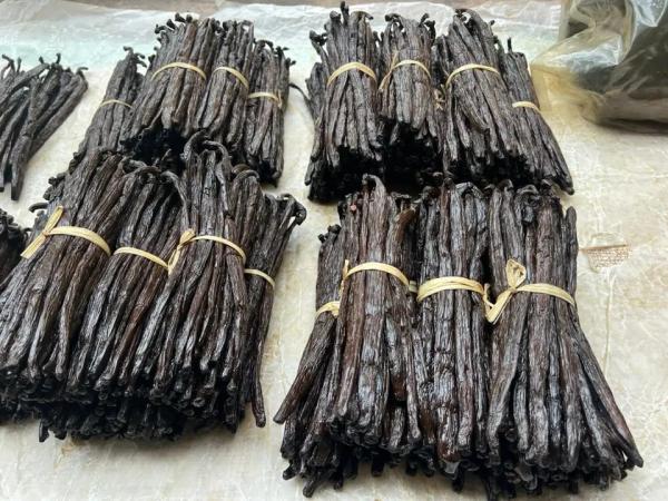  Vanille - aromatic spices we are suppliers and exporters of natural madagascar bourbon vanilla. we are looking for serious and reliable buyers including importers wholesalers distributors and food companies for long term cooperation. we offer different grades of madagascar vanilla including grade a gourmet and grade 