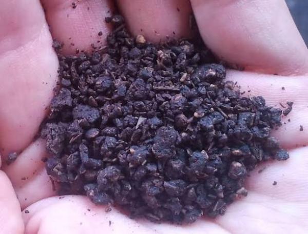  Grignon D'olive - bois charbon fibre nous vous informons qu'on as une qualit&eacute; importante de grignon d'olive destin&eacute; pour l'exportation depuis l'algerie. 50 euros/ tonne en cfr au port de marseille et valence et maria di carrara. pour plus d'informations veuillez nous contacter merci. cordialement 