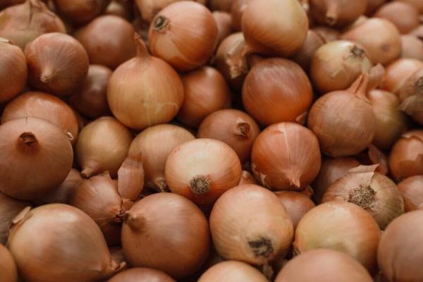  Oignon - fruits et légumes  nous proposons des oignons rouges et jaunes chinois calibre 5 &agrave; 8 cm destin&eacute;s aux grossistes importateurs et distributeurs. pour conna&icirc;tre les prix quantit&eacute;s disponibles et conditions de livraison contactez nous directement. cordialement votre fournisseu