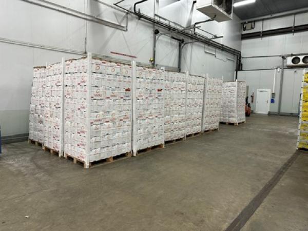  Oranges Fraiches - fruits et légumes importateur vous propose des oranges calibr&eacute;es pour les machines &agrave; jus ; &agrave; partir de 7 colis &agrave; la palette de 80. livraison tous d&eacute;partements en froid positif du 01 au 95 + corse. vente de bouteilles en rpet 25 33 50 1l avec les oranges ou en chronopost. 