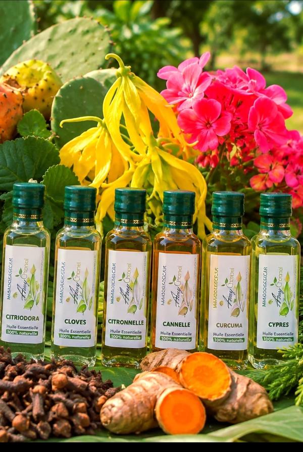  Huile De Cactus,géranium, Ylang-ylang - huiles producteur et exportateur d'huiles v&eacute;g&eacute;tales de cactus et huile essentielle de g&eacute;ranium ylang ylang 