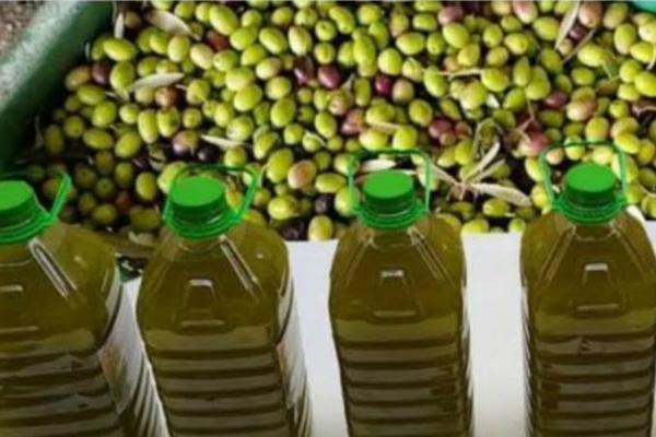  Huile Olive - huiles nous recherchons des acheteurs pour de l'huile d'olive vierge marocaine ; nous proposons tous formats types de commandes et quantit&eacute;s.
