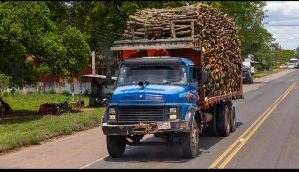  Bois De Chauffe - bois charbon fibre je souhaite vous proposer un partenariat dans l exportation de bois de chauffe vers le canada. une soci&eacute;t&eacute; canadienne recherche un approvisionnement important et souhaite d abord recevoir un &eacute;chantillon afin d &eacute;valuer la qualit&eacute; du bois. je peux g&eacute;rer l appr