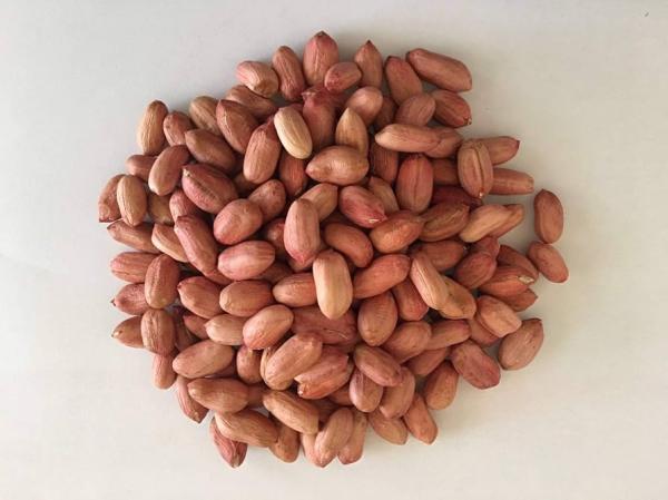  Peanuts - cereals we have ready to supply peanuts sesame seeds peanuts soyabeans gum arabic and many more contact us for more . 