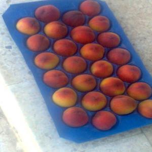  Fruits Frais De Saison De Tunisie - fruits et légumes -- nous disposons de peches black gold, seville calibre b,  a,  dans des cartons avec alv&eacute;oles de 4 &agrave; 5 kilos pour exp&eacute;dition rapide avec l'a&eacute;rien ou par container de 22 tonnes .des past&egrave;ques faraw,  baby sugar et des melons magenta en grande quantit&eacute;, mais aussi