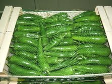  Poinvron,tomates,.pomme De Terre. - fruits et légumes vente legumes du maroc  --poivron , tomate, petit pois , pomme de terre.--avec ambalage pour l exportation.--