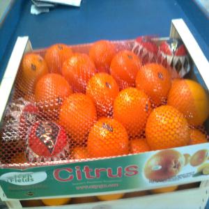  Fruits Et Légumes - fruits et légumes vente orange maroc vari&eacute;t&eacute; clementine calibre 1, 2, 3, 4, 5, 6 variety- maroc late. calibers-sizes- 1, 2, 3, 4, 5, 6 boxes- wooden boxes 15 kg price fob agadir- 0.60 euro / kg.--vente melon vert melon jaune fruit du maroc avec prix 0.56 euro le kg--vente pasteque du maroc. 200 tonnes avec un pri