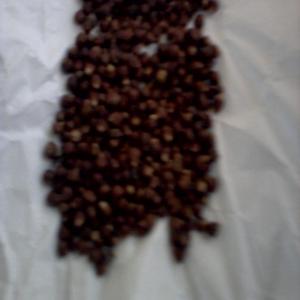 Maniguettes - épices aromates nous disposons une quantité importante de maniguette en vente.la livraison est faite au port d’abidjan.contactez-nous pour plus d'information.