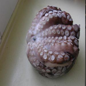  Le Poulpe, La Lotte, Le Hareng - poissons notre soci&eacute;t&eacute; propose toute les type des produits congel&eacute; de la mer, en ce moment on produit comme le poulpe, la queue de lotte, le filet de hareng,  la chair de paloudre , le filet d'anchois, etc.nous attendons les amis qui sont int&eacute;ressent nos produits contactent nous &agrave